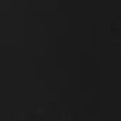 Black lacquered texture sample, matte open-pore finish, RAL 9005 color, uniform dark surface with subtle granular pattern, even lighting.